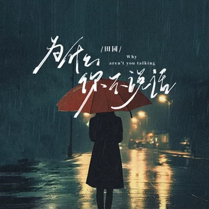 为什么你不说话(伴奏)