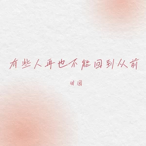 田园 - 有些人再也不能回到从前（DJEva版）伴奏