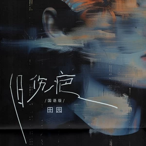 旧伤疤(国语版)