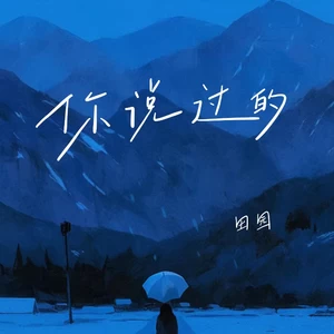 你说过的(DJ版)