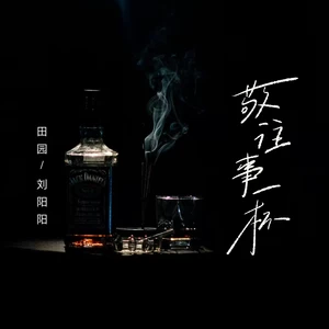 田园/刘阳阳 - 敬往事一杯