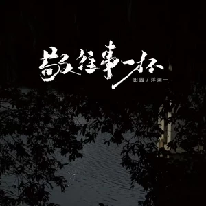 田园/洋澜一 - 敬往事一杯(DJ EVA版)