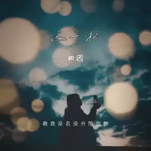 田园 - 这一杯