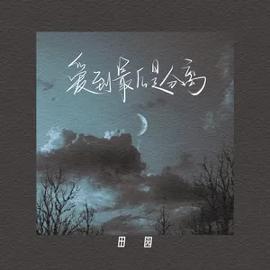 田园 - 爱到最后是分离