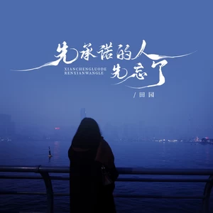 先承诺的人先忘了(伴奏)