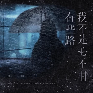 有些路我不走心不甘(伴奏)