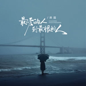 最爱的人到最恨的人(DJ锋仔版)