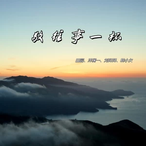 田园/洋澜一/刘阳阳/韩小欠 - 敬往事一杯(对唱版)
