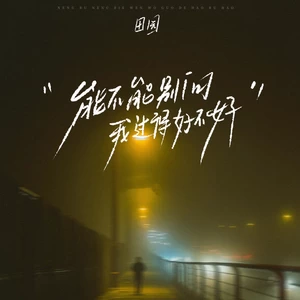 能不能别问我过得好不好(DJ豪大大版)