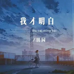 我才明白(DJ彭锐版)
