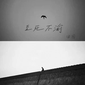 田园 - 至死不渝