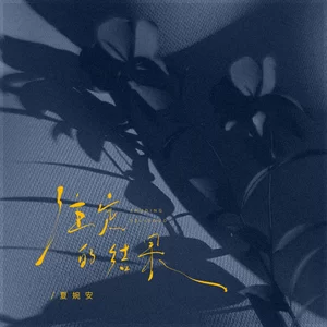夏婉安 - 注定的结果