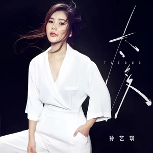孙艺琪 - 太多