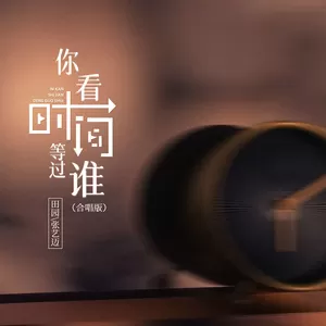 田园/张艺迈 - 你看时间等过谁(合唱版)