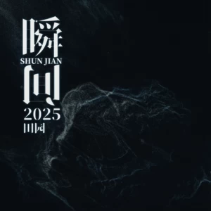 瞬间2025(情绪崩溃版)
