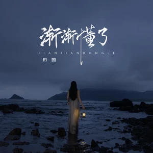 我渐渐懂了(DJ Du Remix)