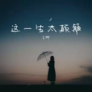 这一生太颠簸