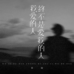 田园 - 我爱的人终不是爱我的人(海南DJ茂版)(伴奏)