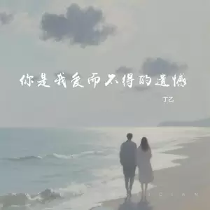 丁乙 - 你是我爱而不得的遗憾
