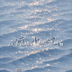 何欢浪 - 后来在眼泪中我才明白
