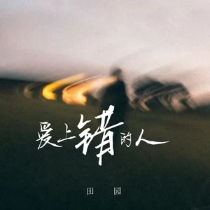 爱上错的人(伴奏)