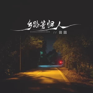 乡路等归人(DJ京仔版)