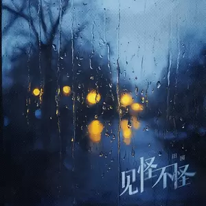 田园 - 见怪不怪(伴奏)