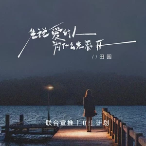 先说爱的人为什么先离开(DJ墨韩Mix版)