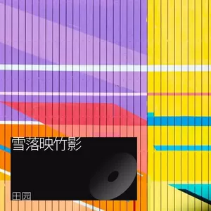 田园 - 雪落映竹影
