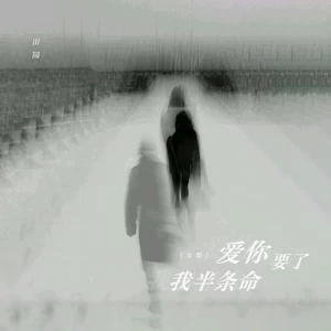 田园 - 爱你要了我半条命(女版)