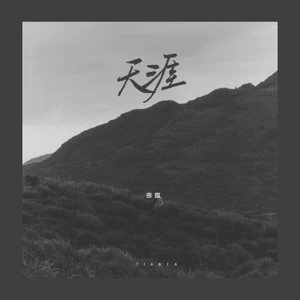 田园 - 天涯(DJ豪大大版)