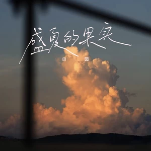 盛夏的果实(DJ版)