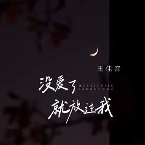 王佳音 - 没爱了就放过我