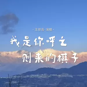 王佳音 - 我是你呼之则来的棋子(伴奏)