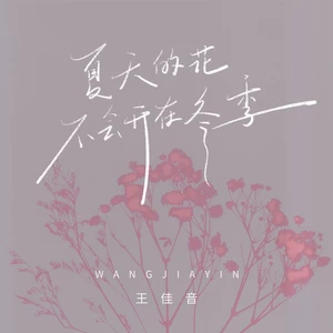 王佳音 - 夏天的花不会开在冬季(DJ九零版伴奏)