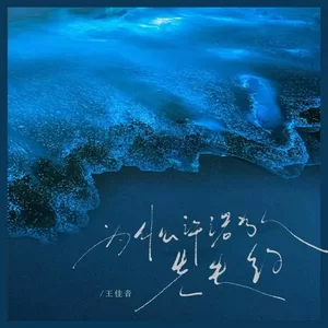 王佳音 - 为什么先许诺的人先失约(伴奏)
