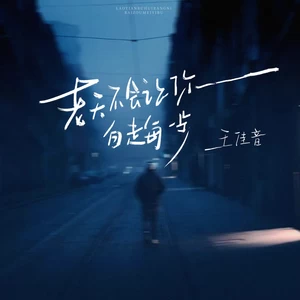 王佳音 - 老天不会让你白走每一步(伴奏)