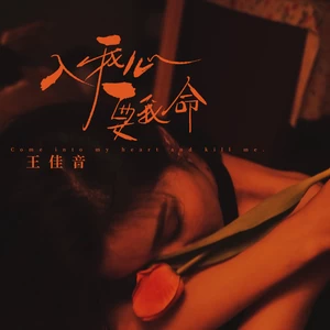 王佳音 - 入我心要我命