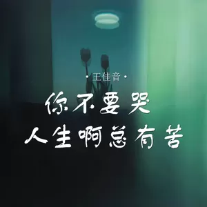 王佳音 - 你不要哭 人生啊总有苦(伴奏)