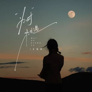 王佳音 - 为何相遇