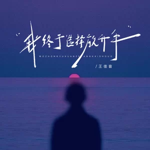 王佳音 - 我终于选择放开手(伴奏)