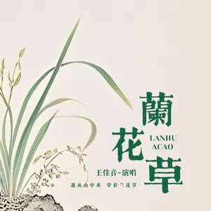 王佳音 - 兰花草