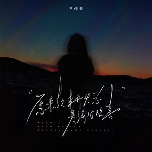 王佳音 - 原来故事开头总是满心欢喜