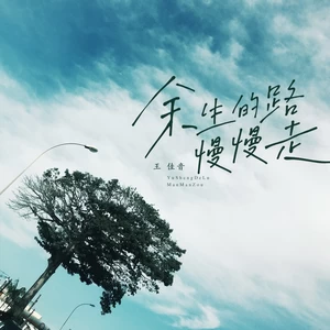 王佳音 - 余生的路慢慢走(live合唱版伴奏)