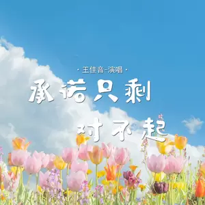 王佳音 - 承诺只剩对不起