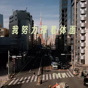 王佳音 - 我努力撑着体面