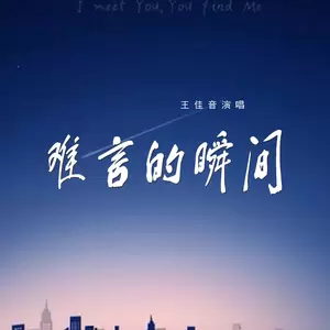 王佳音 - 难言的瞬间