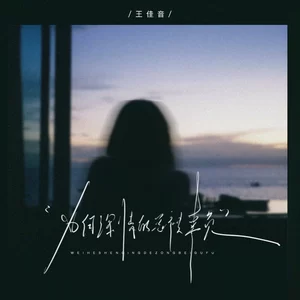 王佳音 - 为何深情的总被辜负(伴奏)