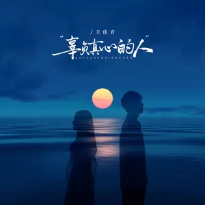王佳音 - 辜负真心的人(钢琴版)