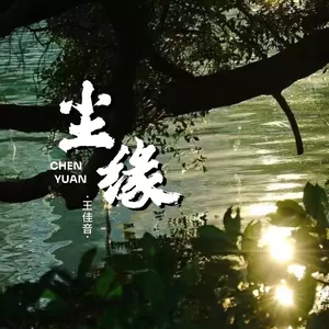 王佳音 - 尘缘 (繁花落尽一身憔悴在风里)